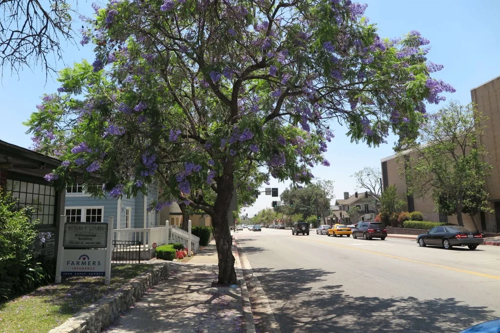 Claremont Village view near Cox and Patel DDS